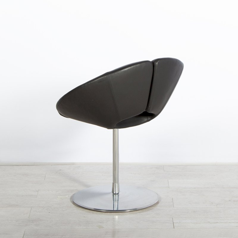 Little Apollo Chair - Black Leather